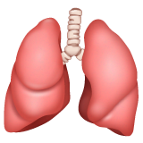 lungs as rendered by WhatsApp